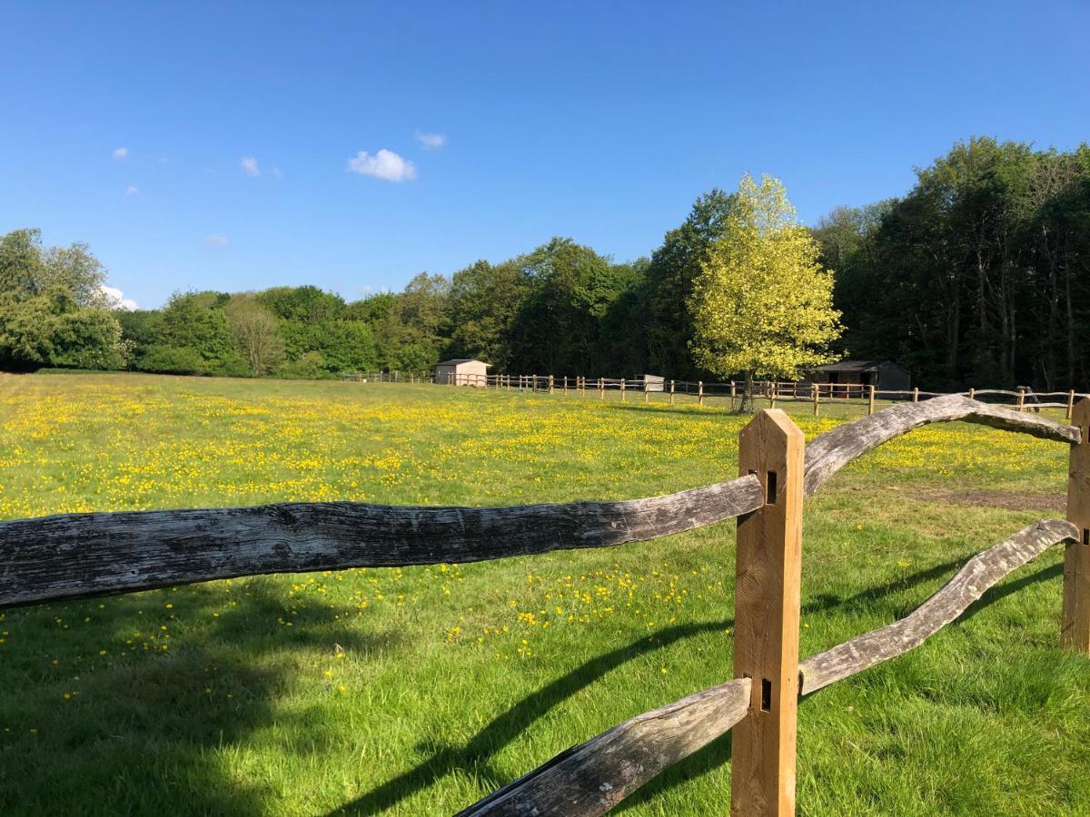Ryefield Cottage - Luxurious Self-Catered Holiday Cottage With A Log Burner 奇切斯特 外观 照片