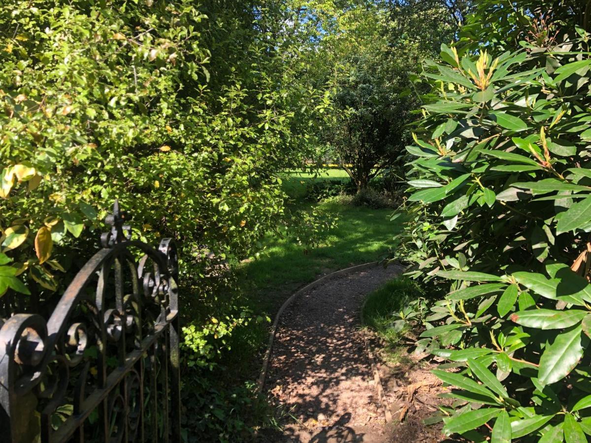 Ryefield Cottage - Luxurious Self-Catered Holiday Cottage With A Log Burner 奇切斯特 外观 照片